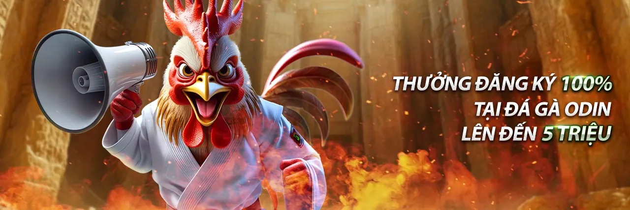 Hình ảnh đại diện chương trình đối tác suncity app